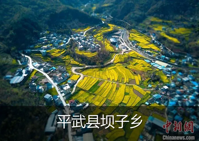 平武县坝子乡
