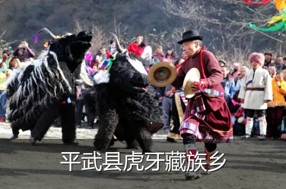 平武县虎牙藏族乡