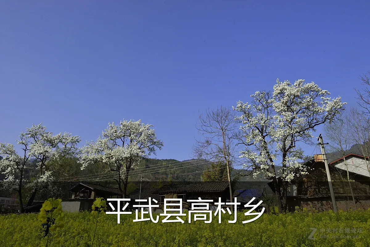 平武县高村乡